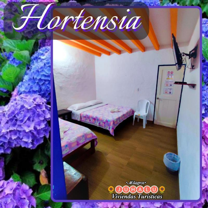ᒍᑌᕼᗩᒪᑌ Hotel Jericoc  Quarto foto