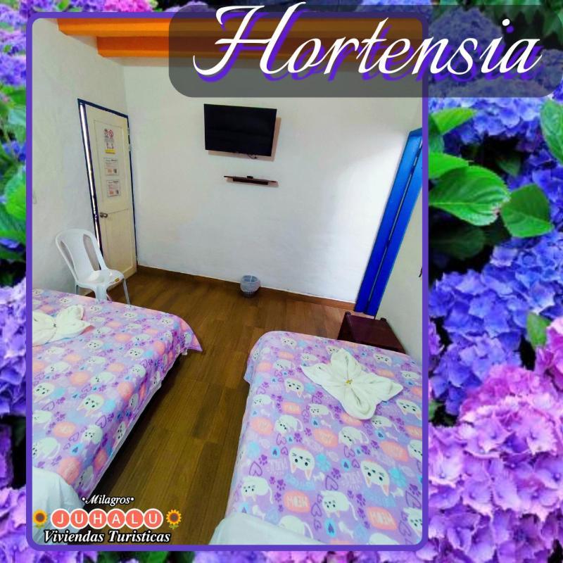 ᒍᑌᕼᗩᒪᑌ Hotel Jericoc  Quarto foto